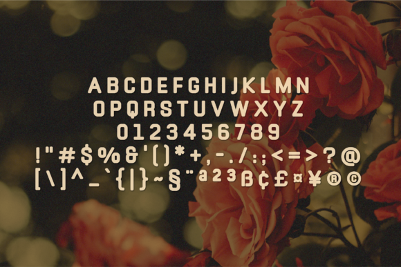 Font preview 2