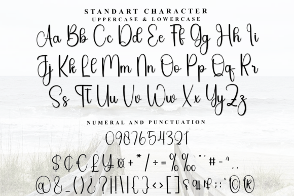 Font preview 3