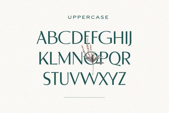 Font preview 2