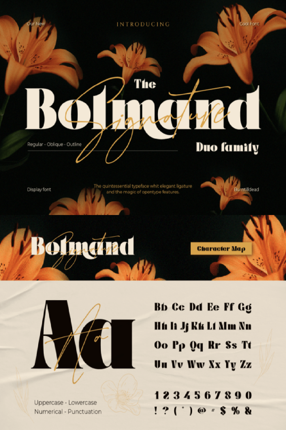 Bolmand Signature Font