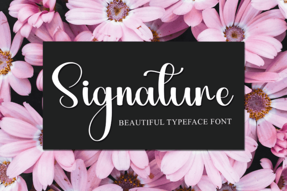Font preview 5