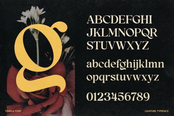Font preview 3