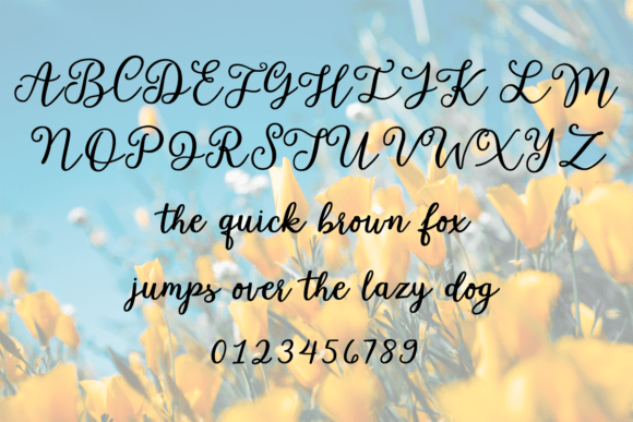 Font preview 2