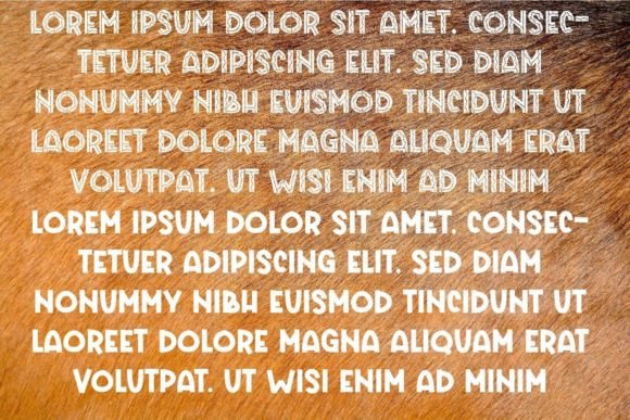 Font preview 3