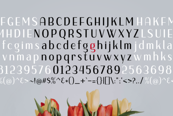 Font preview 3