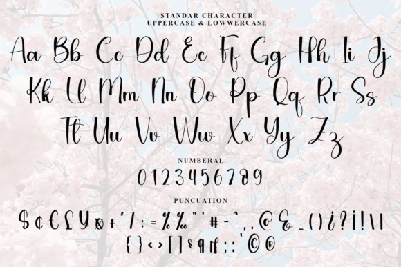 Font preview 5