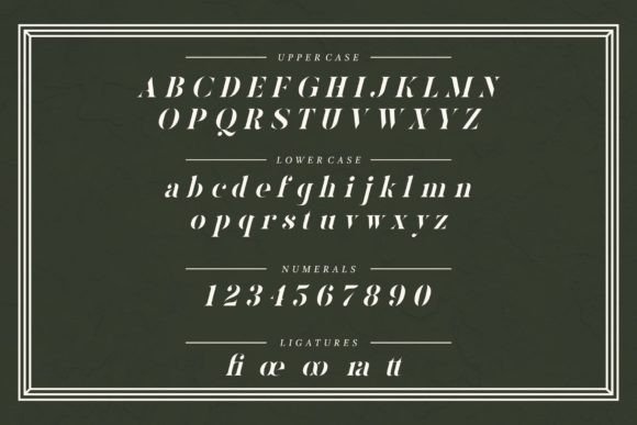 Font preview 3