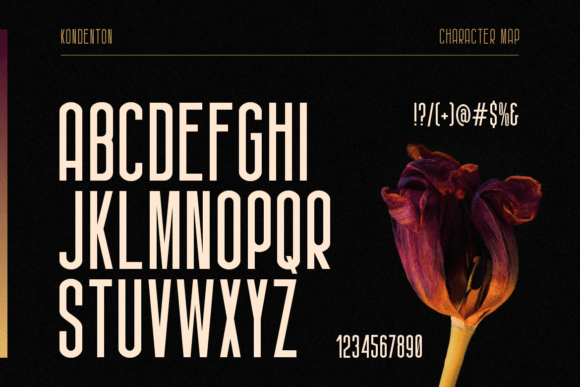 Font preview 2