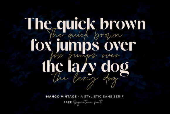 Font preview 2