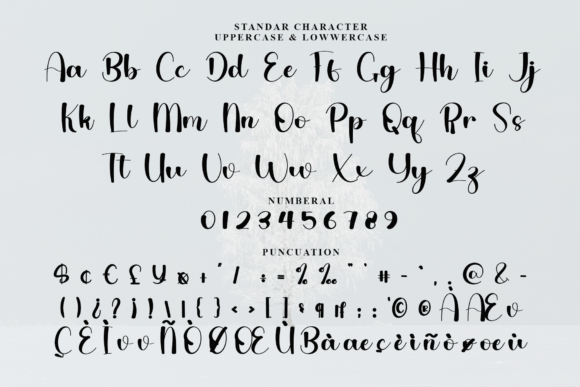 Font preview 5