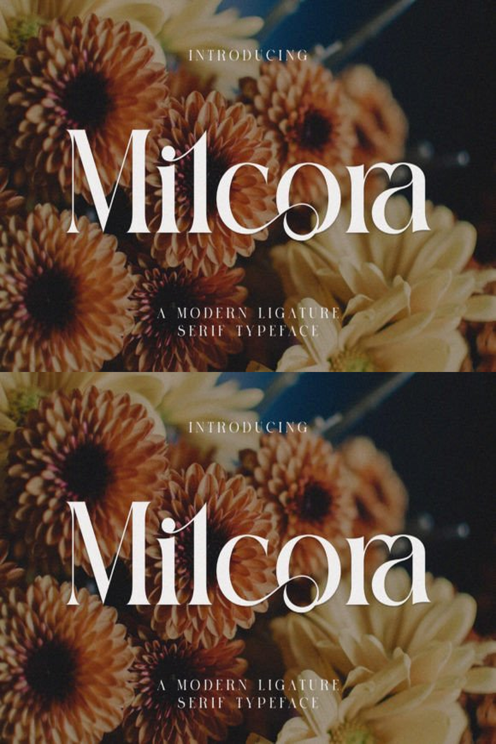 Milcora Font