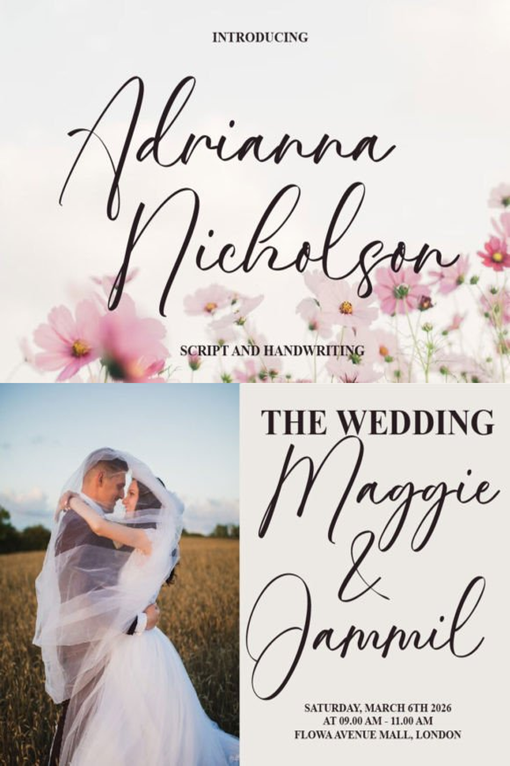 Adrianna Nicholson Font
