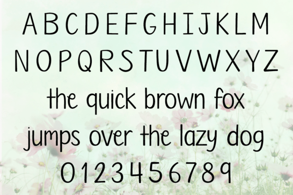 Font preview 2