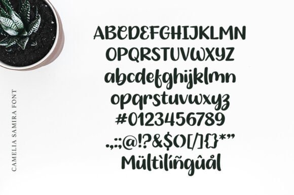 Font preview 3