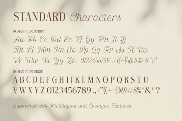 Font preview 3