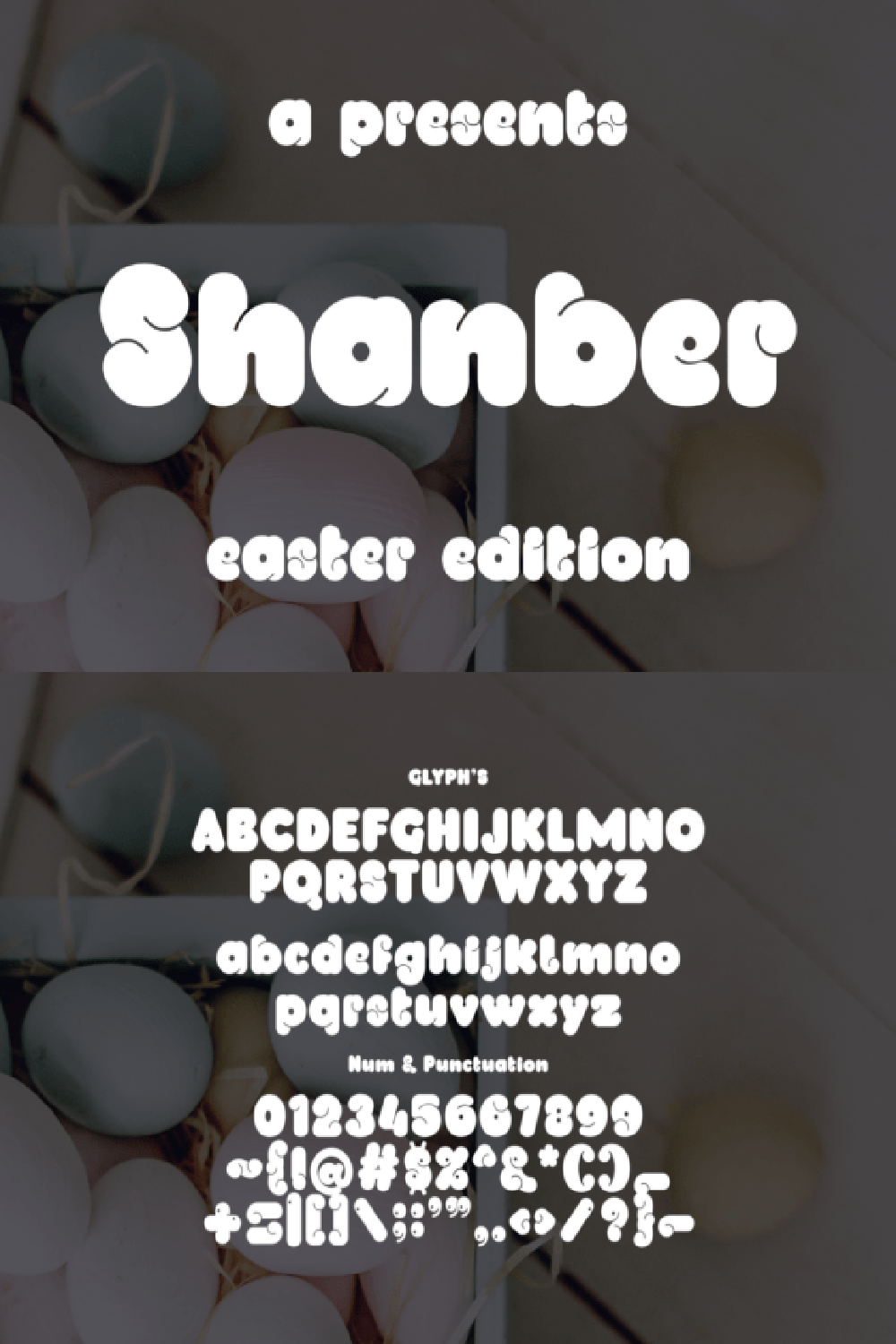 Shanber Font