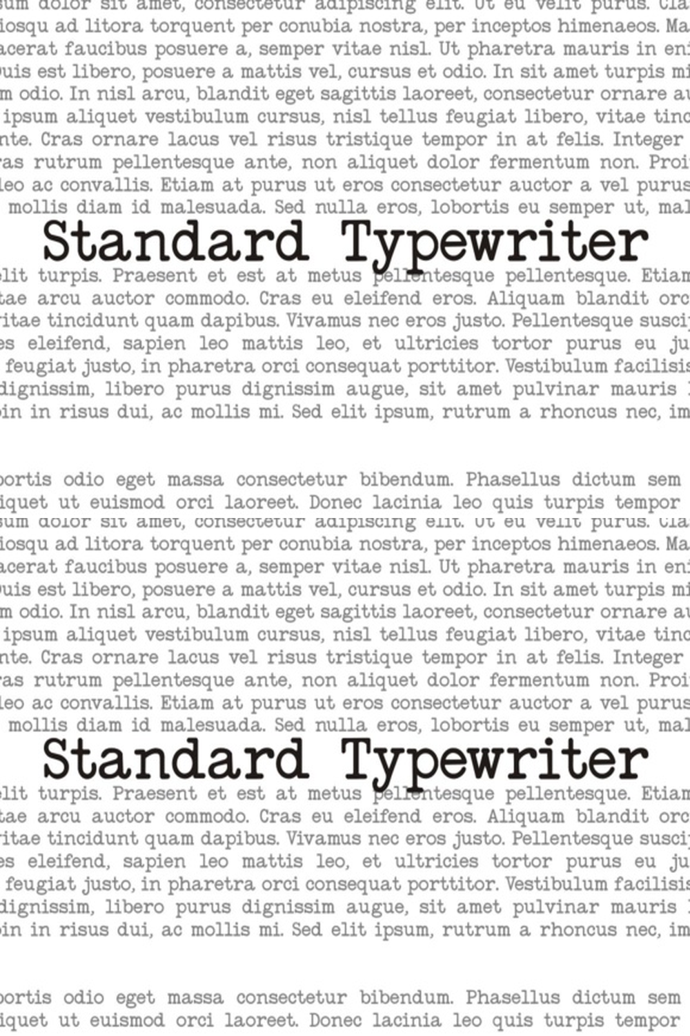 Standard Typewriter Font