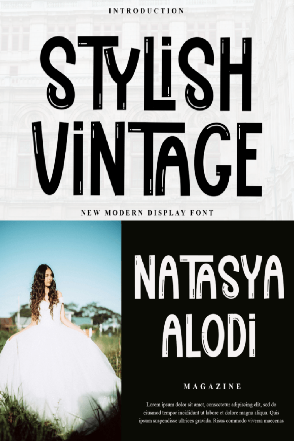 Stylish Vintage Font