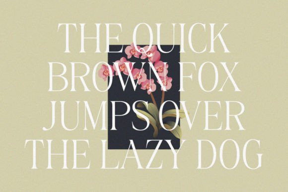 Font preview 3