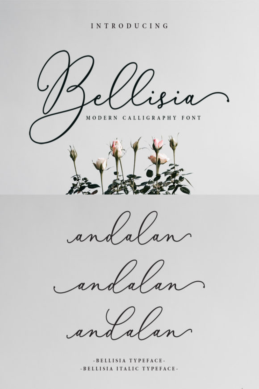Bellisia Font: Elegant Handwritten Calligraphy for Stunning Wedding Design