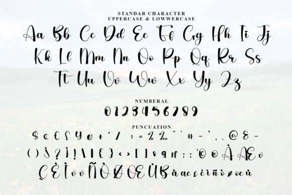 Font preview 3