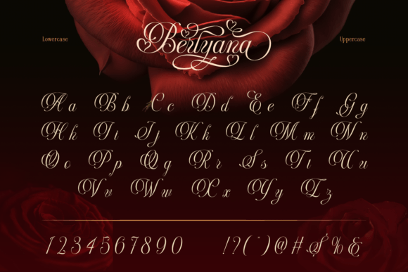 Font preview 3