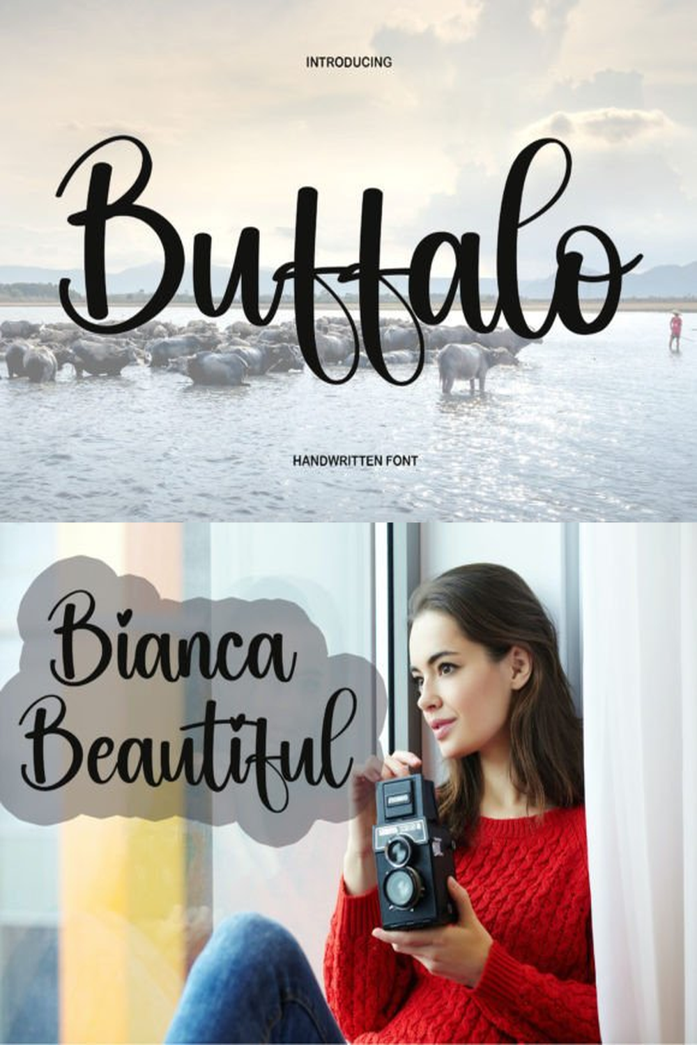 Buffalo Font